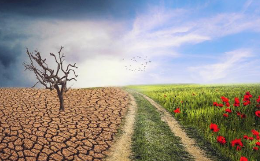 ماذا قال الخبراء عن التغير المناخي في الأردن