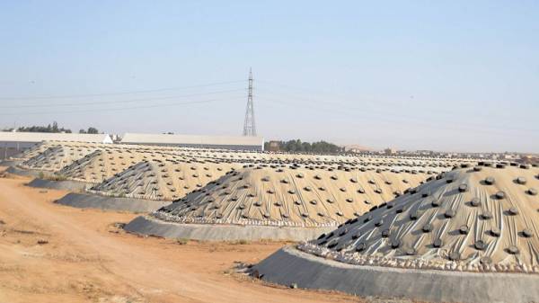 خطة لزيادة الاستطاعة التخزينية للأردن من القمح والشعير