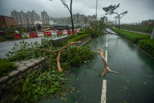 الكوارث الطبيعية تكلف الصين خسائر اقتصادية بقيمة 5.74 مليار دولار في شهر واحد.