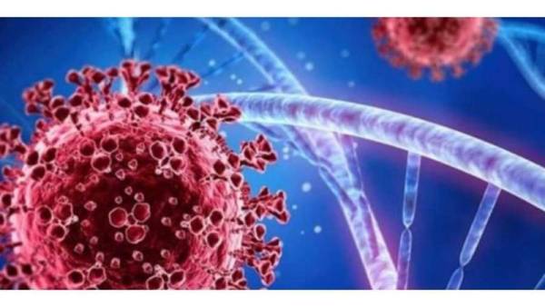 شركس يطمئن الأردنيين: متحور إيريس لا يبعث القلق