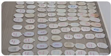 القبض على 13 تاجراً مروجاً للمخدرات منهم مصنف خطر