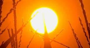 لا موجات حرّ في الأسبوع الأخير من آب