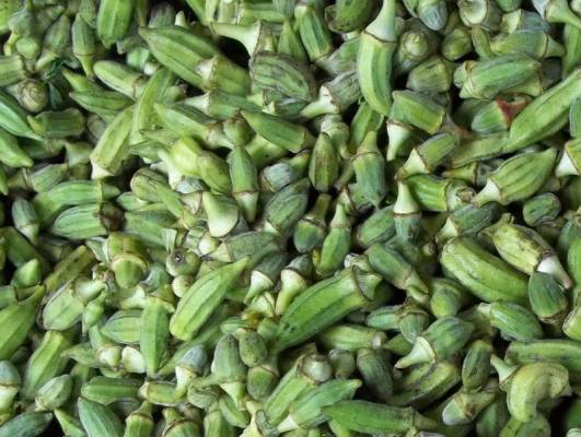 فوائد مهمة للبامية.. ماهي؟