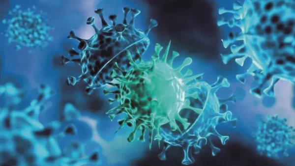 بيرولا كوفيد.. سلالة جديدة من كورونا تثير التخوفات محليًا