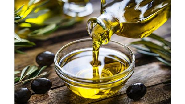 الحنيفات: سعر تنكة زيت الزيتون حول معدلها في العام الماضي والموسم مبشر