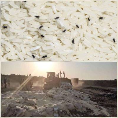 مدير الغذاء والدواء لـأخبار البلد: باشرنا عملية اتلاف الأرز الفاسد.. واجراءات قانونية وادارية بحق صاحب الشحنة