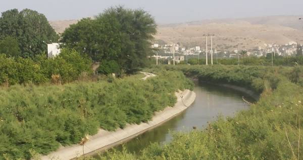 إزالة اعتداءات على مياه قناة الملك عبدالله بالشونة الجديدة