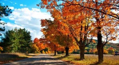 أجوء خريفية معتدلة في أغلب المناطق لثلاثة أيام