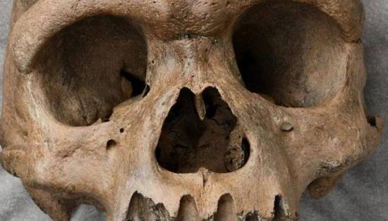 دراسة صادمة: الأوروبيون أكلوا لحوم البشر كطقس جنائزي