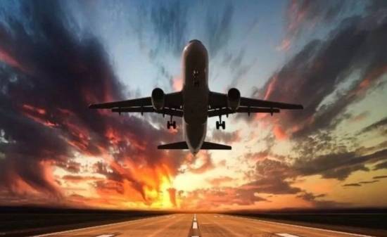 بسبب حشرة البق.. الأردن يعلن تدابير احترازية لمراقبة الرحلات القادمة من فرنسا