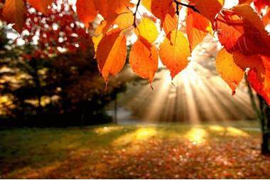 طقس خريفيّ لطيف السبت