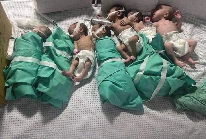 نفي التوصل إلى اتفاق مع الجيش الإسرائيلي حول الأطفال الخدج في مستشفى الشفاء