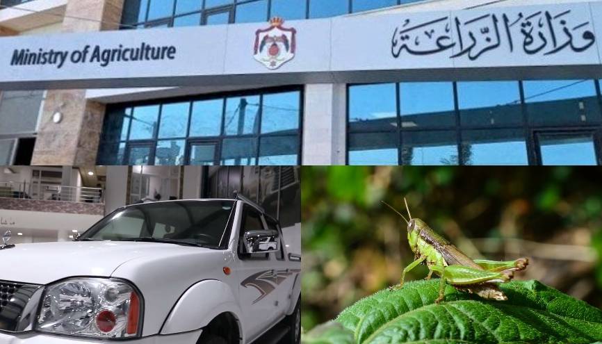 ماذا يحصل في وزارة الزراعة 100 سيارة جديدة والجراد ينهزم أمام  المصاري  والأمور  خربانة 