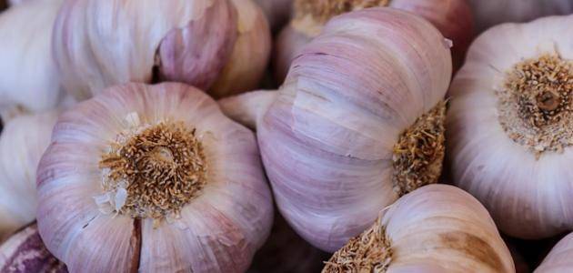 كيلو الثوم ب ٦ دنانير