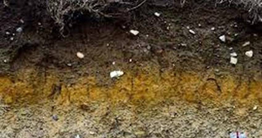 أكاديمي أردني يستحدث خوارزمية للتنبؤ بدرجة حرارة التربة