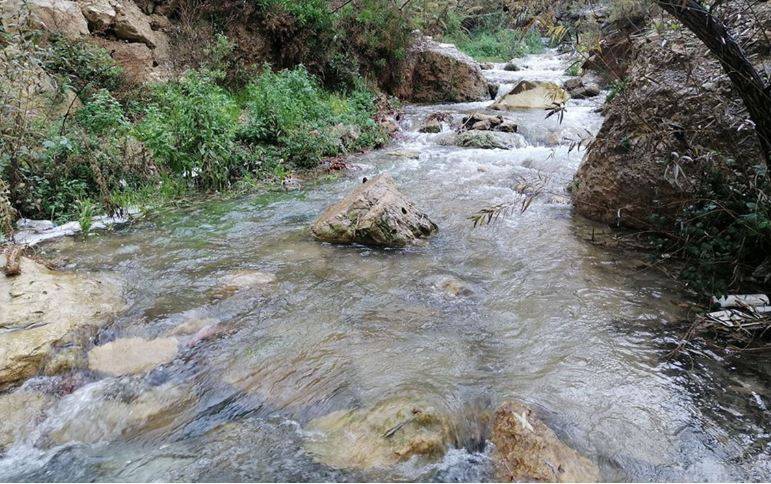 جراء التساقط الغزير للأمطار.. تفجر نبع عين أبو الجود في عجلون