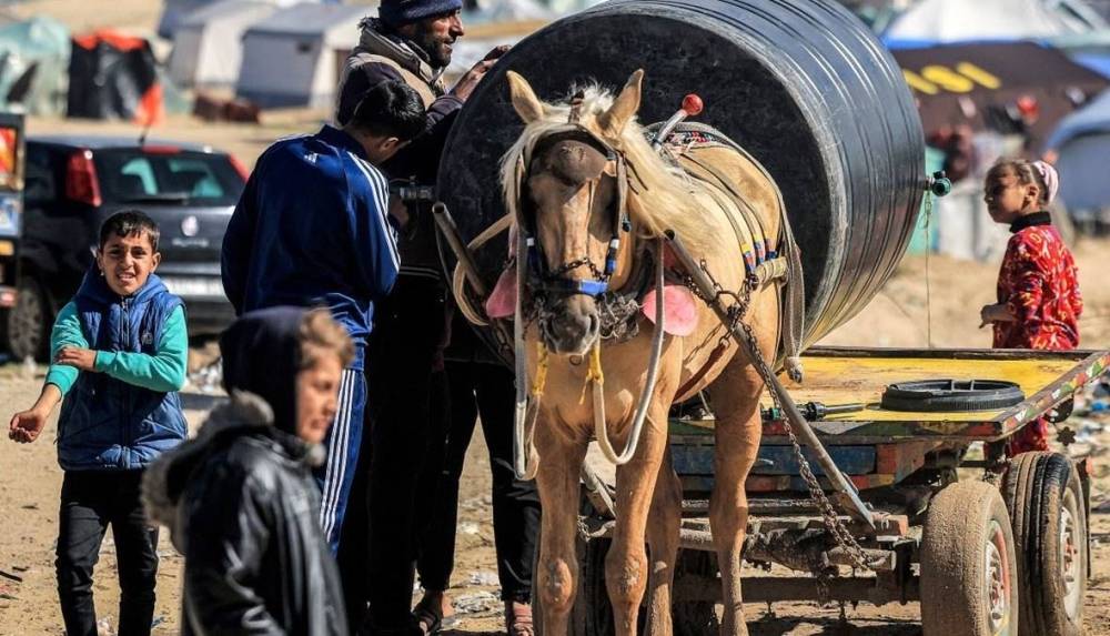 وقف تمويل الأونروا كارثي على غزة