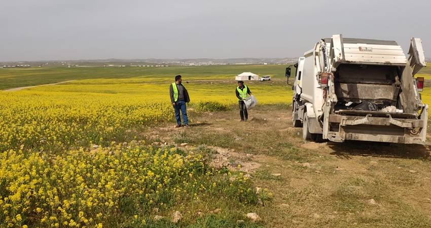 البدء بتشجير مكب الحصينيات بشجرة الباولونيا في المفرق