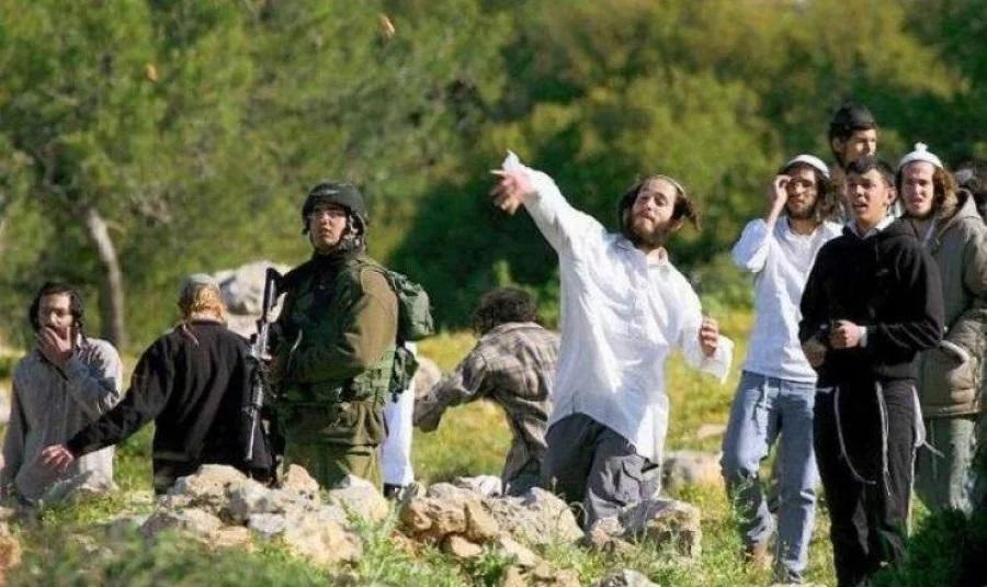 معاريف: انتشار الاعتداء الجنسي بين المستوطنين المهجرين