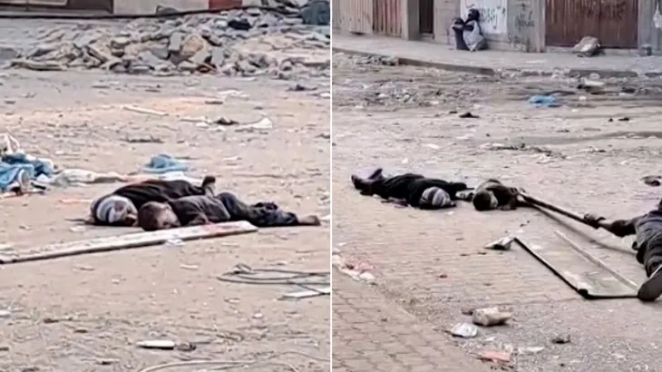 فيديو يدمي القلوب لقنص أم وصغيرها من قبل جيش الاحتلال في شمال قطاع غزة