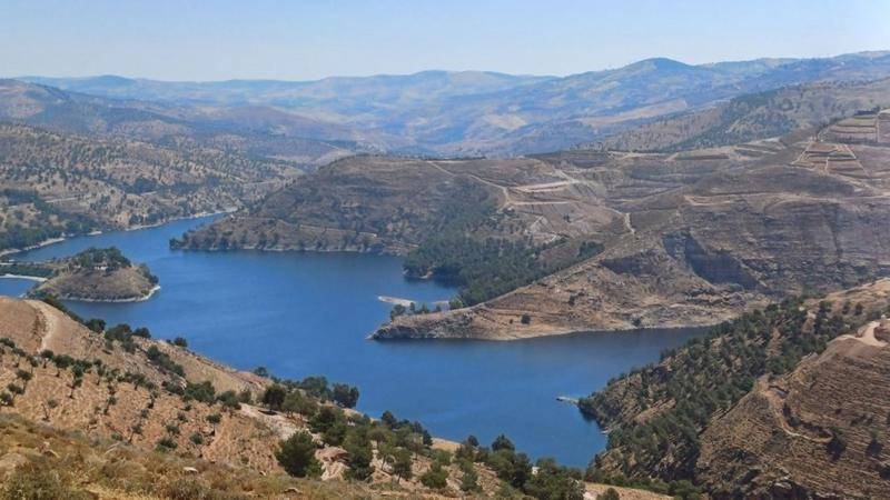 الهطولات المطرية ترفع الموسم المطري إلى 63#44;6