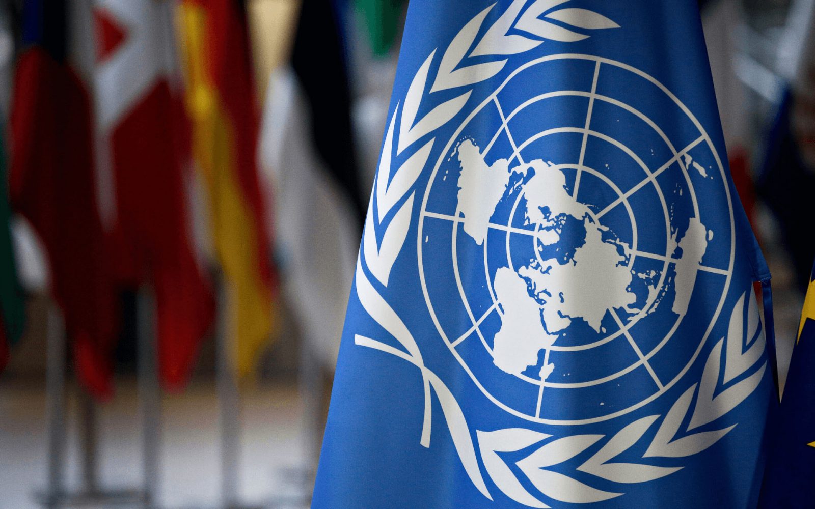 الأمم المتحدة تصدر قرارًا بقضايا تورط موظفي الأونروا بهجوم السابع من أكتوبر