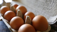 لماذا البيض البني أغلى من الأبيض؟ وأيهما أكثر صحة؟