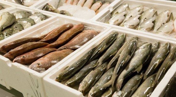 سوق مركزية للأسماك في عمان قريبا