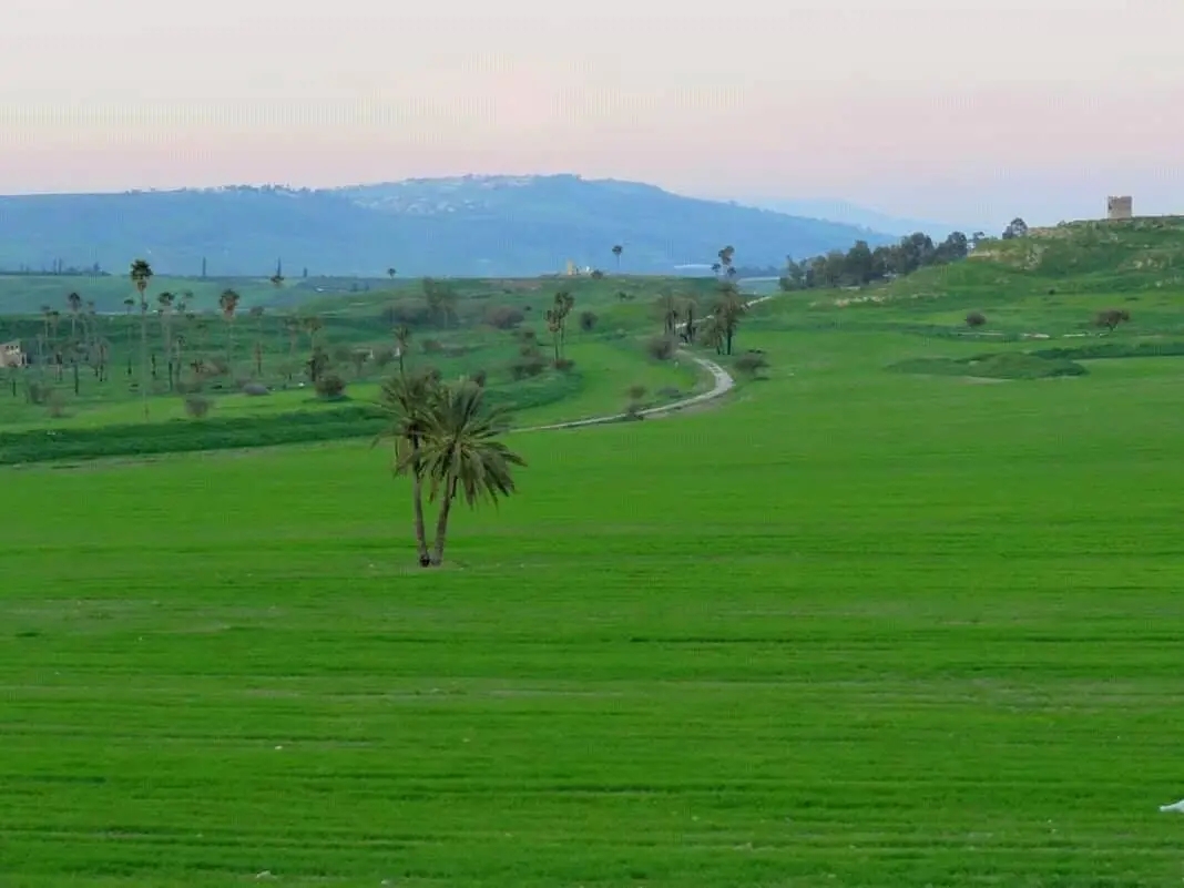 اليوم ذكرى عودة أرض الغمر والباقورة .. سياسيون: الأردن يدرك نوايا الاحتلال الخبيثة