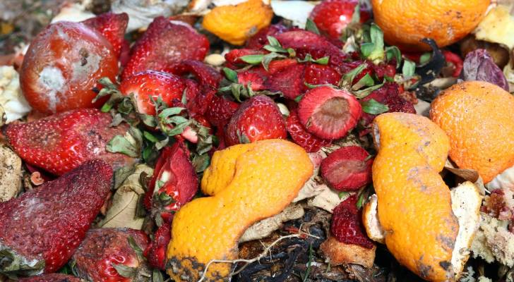 ضبط 3 أطنان من المواد الغذائية والمنظفات منتهية الصلاحية في الكرك