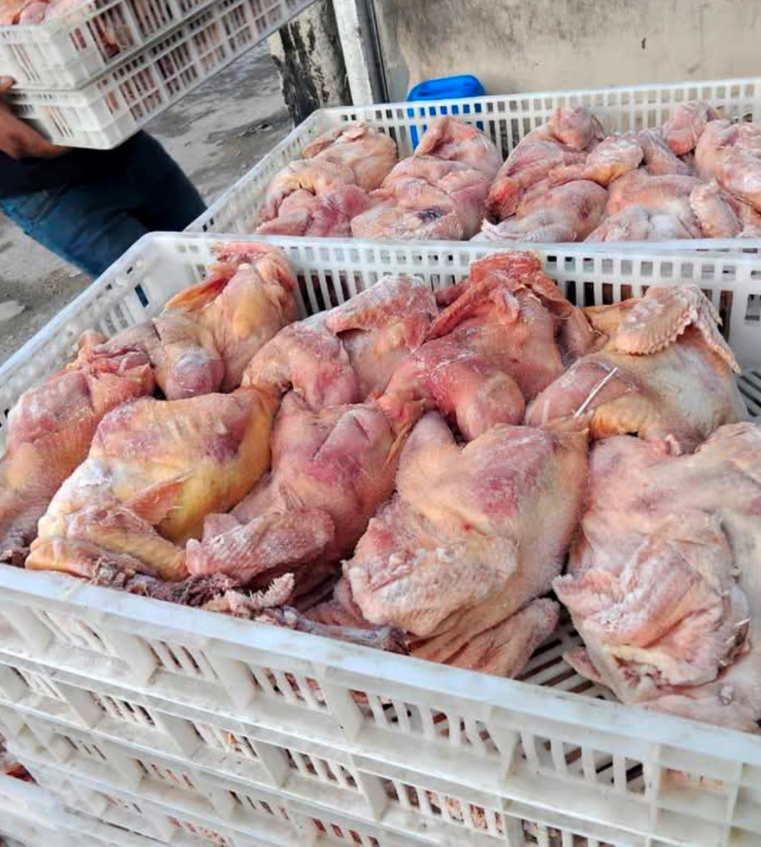 ضبط واتلاف 13 طناً من الدجاج الفاسد في الرصيفة