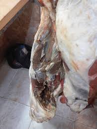 إتلاف أكثر من 300 كيلو غرام لحوم غير صالحة للاستهلاك