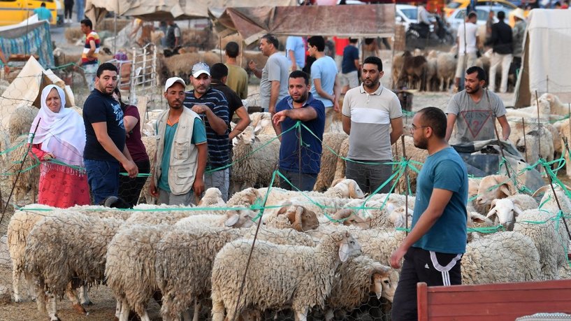 موقف رسمي في تونس بشأن إلغاء عيد الأضحى