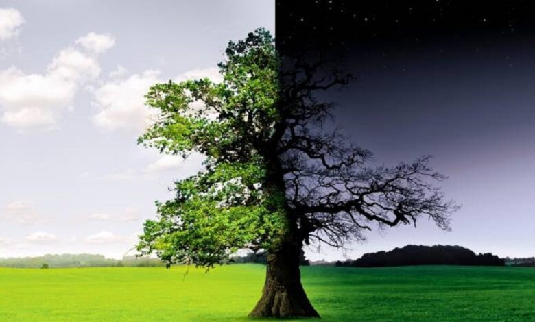 الجمعية الفلكية الأردنية: تساوي الليل والنهار في الأردن الأحد