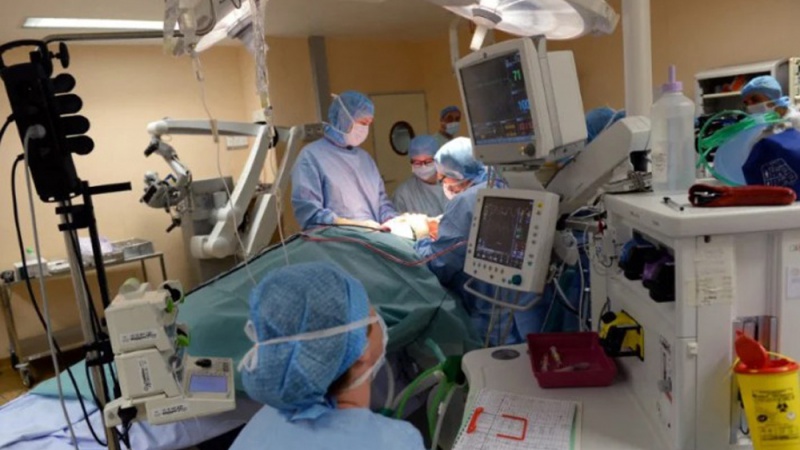 باحثون صينيون تمكنوا من زرع كبد خنزير للمرة الأولى في جسم إنسان