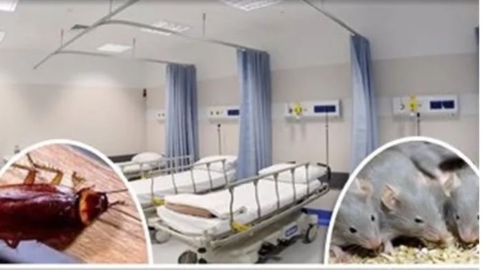 الفئران والصراصير والمياه العادمة تنتشر في المستشفيات في هذه الدولة المشهورة