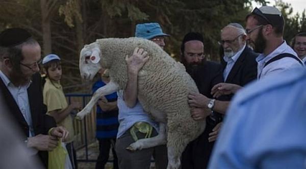 جماعات الهيكل المزعوم تدعو للبدء بذبح القرابين في الأقصى