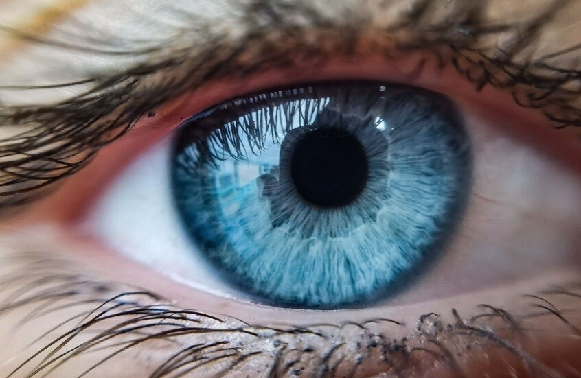 العيون تتنفس!.. علماء يكشفون عن رابط غامض بين التنفس والبصر