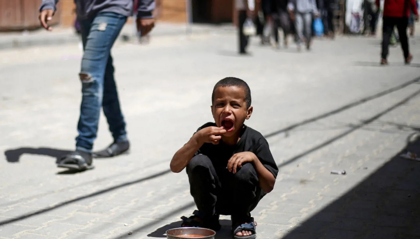 فلسطينيون في غزة يلجأون إلى لحم السلاحف وسط أزمة غذاء