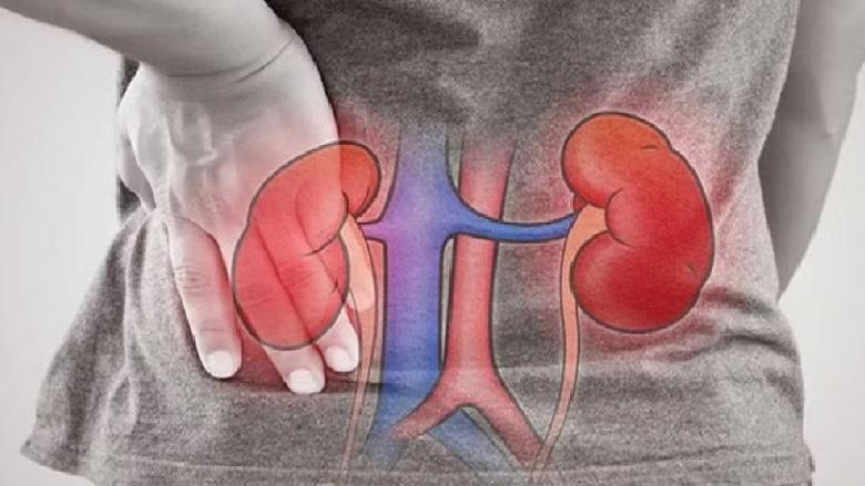 9 عادات يومية شائعة تضر بصحة الكلى.. احذرها