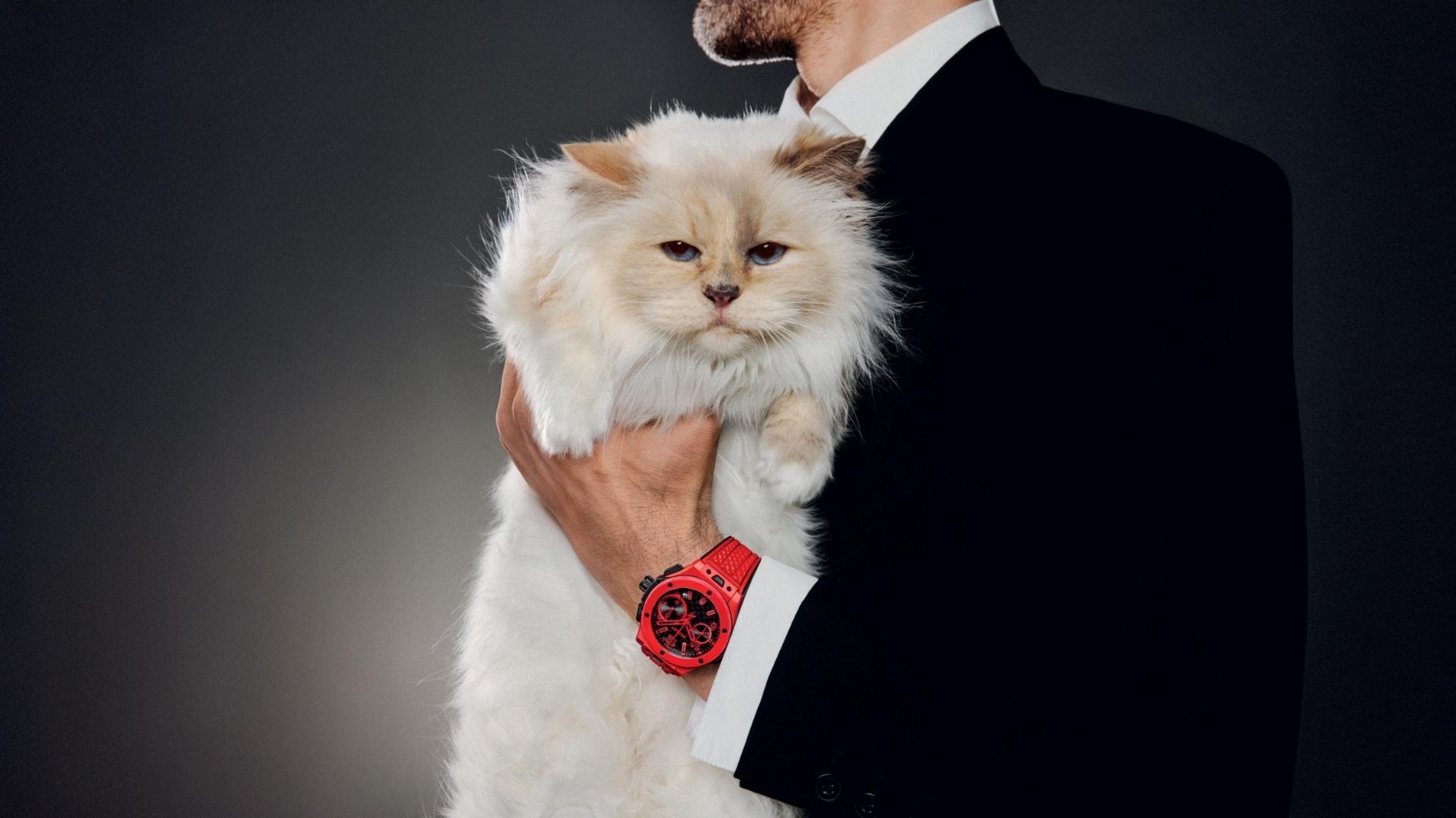 شوبيت.. القطة المليونيرة ونجمة لحملة هوبلو للساعات