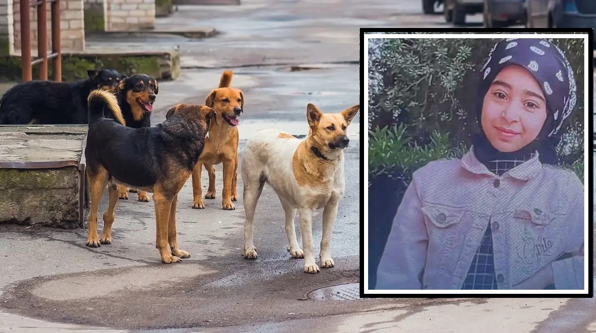 العراق.. هربت من الكلاب الضالة فماتت غرقا