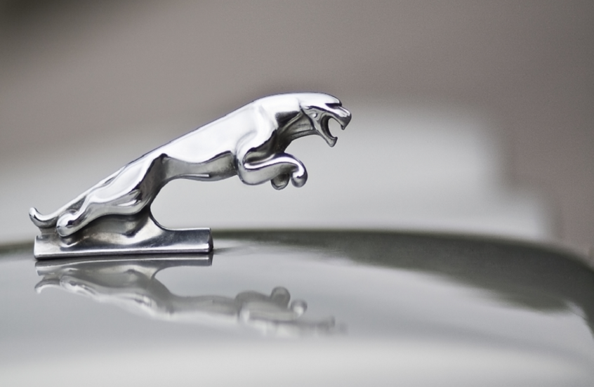 شركة عالمية تستدعي آلاف السيارات بسبب خلل خطير في الوسائد الهوائية