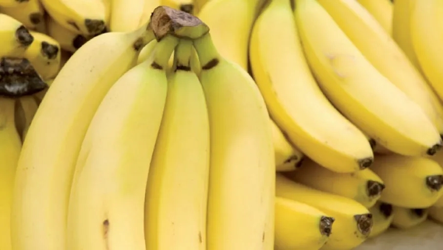7 أسباب صحية «مدهشة» تدفعك إلى عدم رمي قشر الموز... وأكله