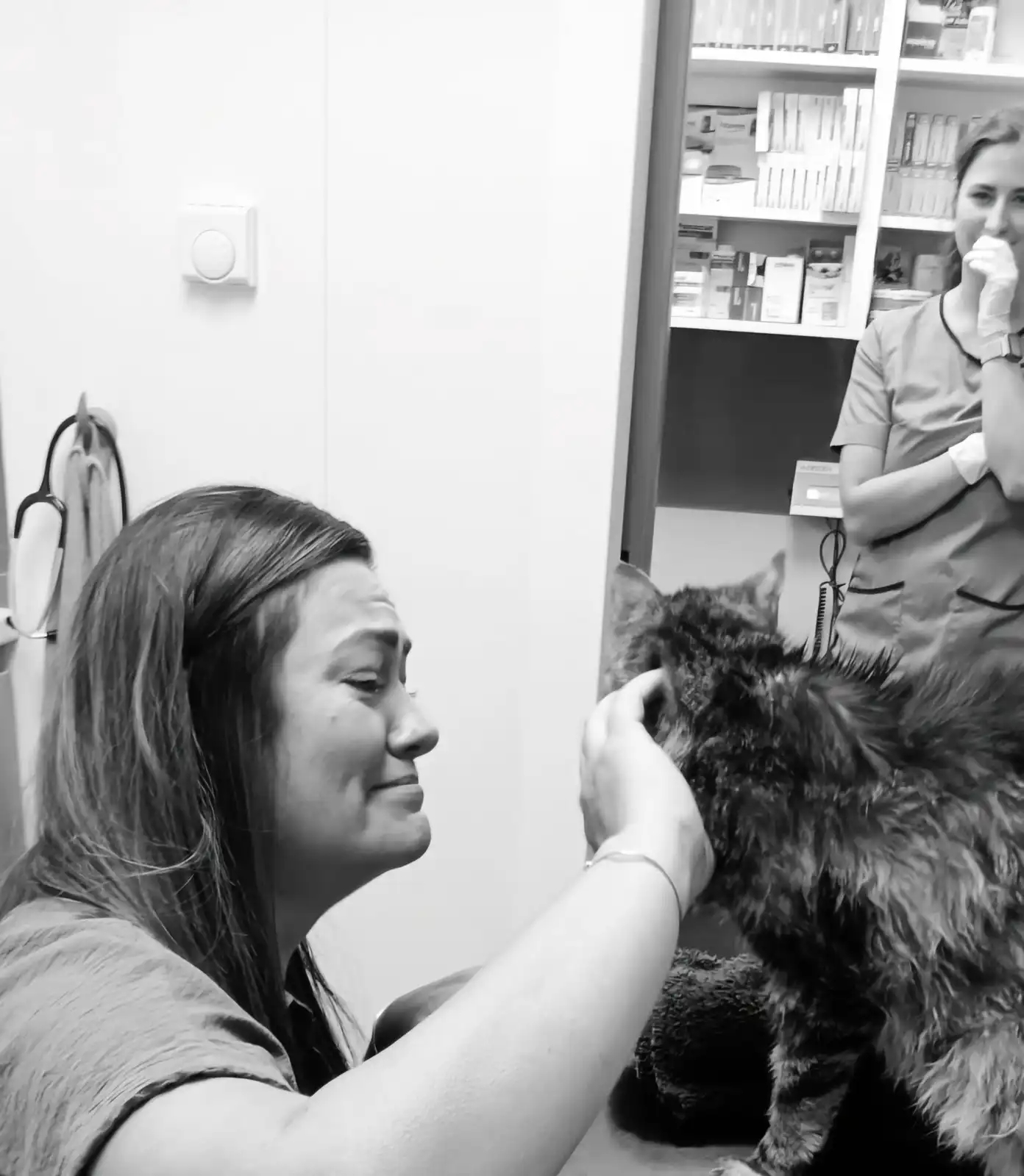 بعد 13 عامًا.. قطة تعود إلى أصحابها لتقضي بينهم لحظاتها الأخيرة