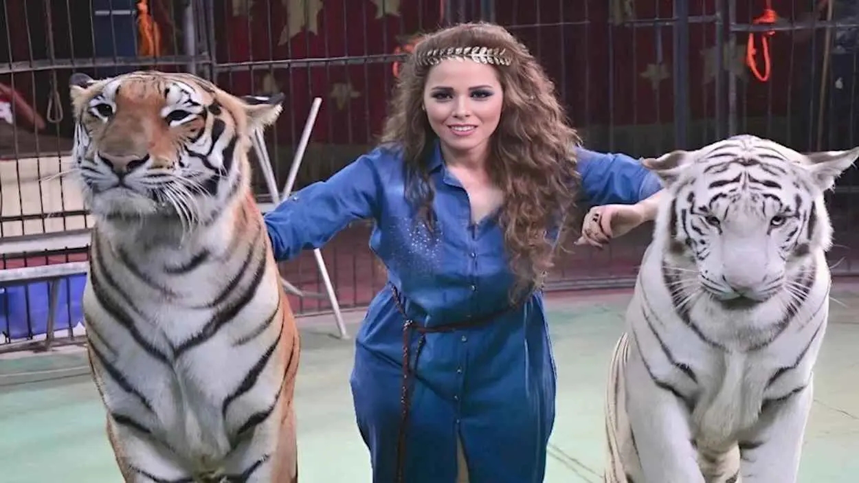 حبس وتغريم مدربة أسود مصرية بعد حادثة سيرك طنطا