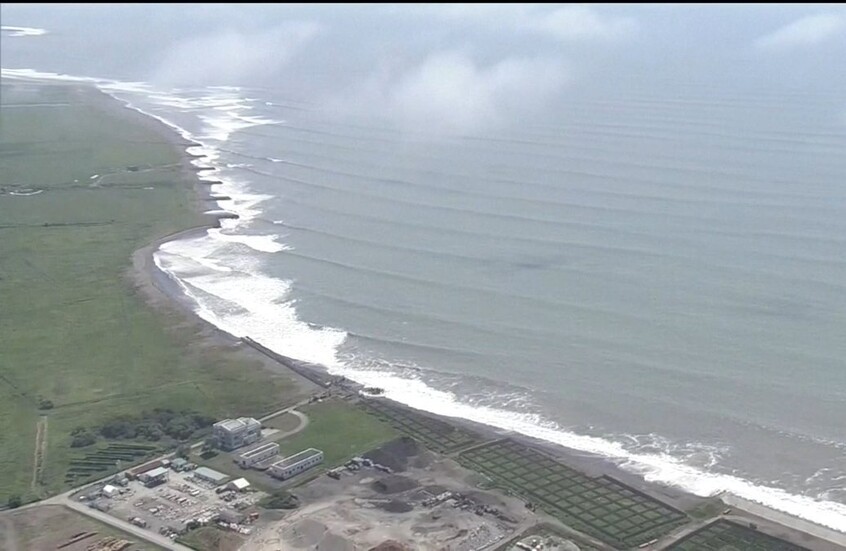 أربعة حيتان ضخمة جرفتها المياه إلى سواحل اليابان إثر تسونامي (فيديو)