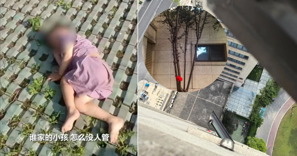 طفل 3 سنوات ينجو بعد سقوطه من الطابق الـ18 ووالده يُكرم شجرة أنقذته