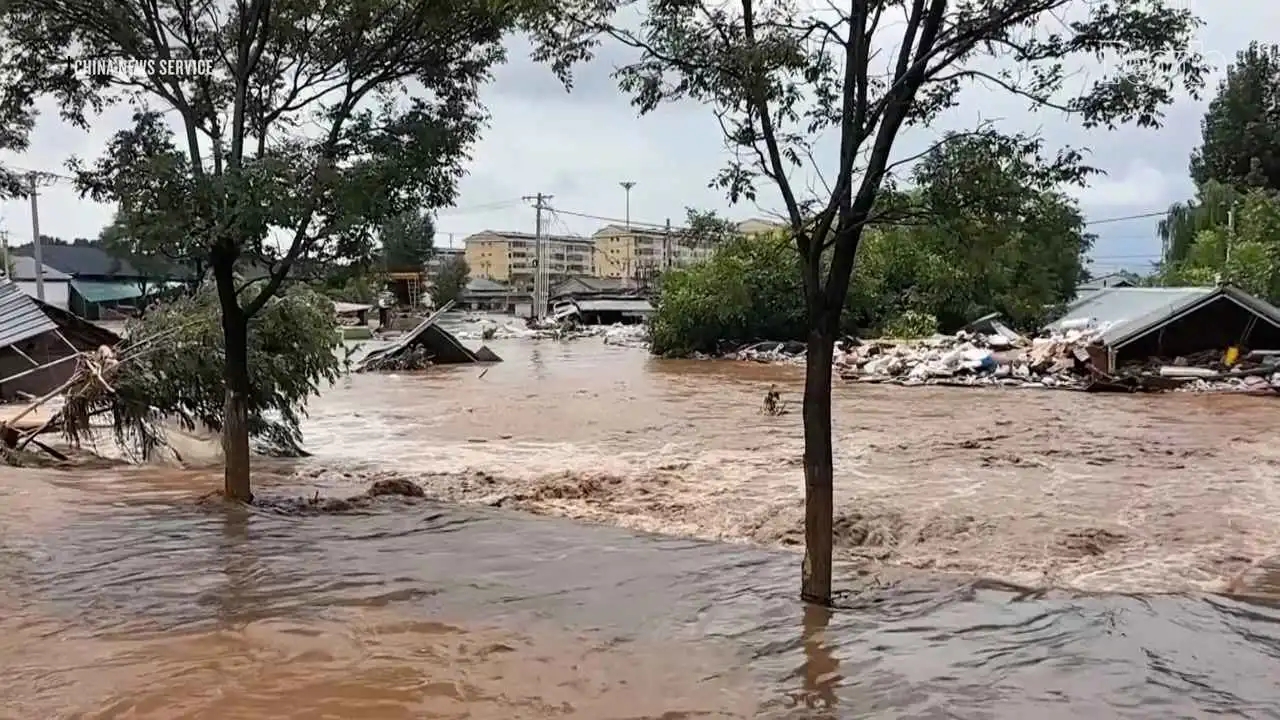أنقذوا زوجتي أولاً.. مقطع مؤثر يحصد آلاف المشاهدات (فيديو)
