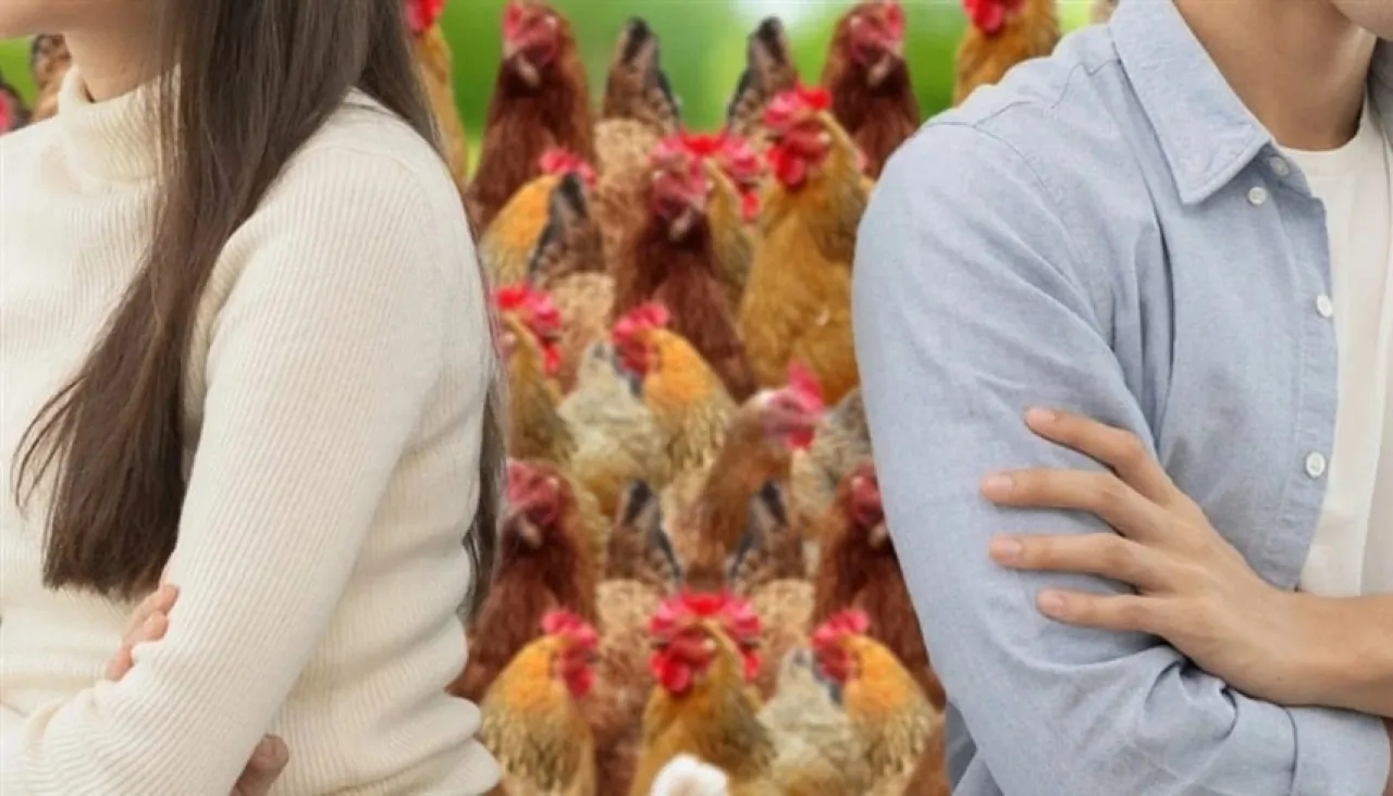 وجبة وداع غير تقليدية.. قاضٍ يفصل نزاع 29 دجاجة بين زوجين قبل الطلاق